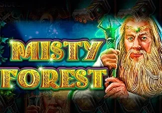 Misty Forest
